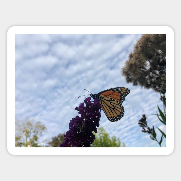 Monarch Butterfly Sticker by emiliapapaya